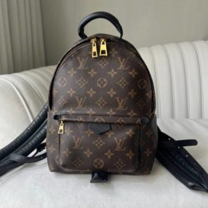 Рюкзак Louis Vuitton Palm Springs в хорошем состоянии